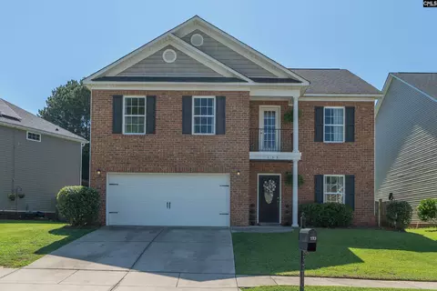 133 Palm St, Chapin, SC 29036