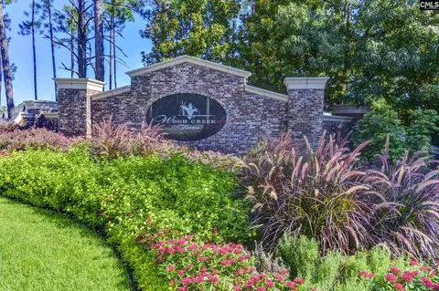 174 Backspin Dr, Elgin, SC 29045 photo 46