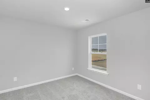 903 Blenheim Way, Gilbert, SC 29054 photo 22