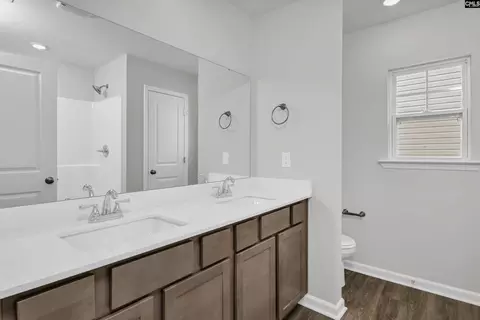 903 Blenheim Way, Gilbert, SC 29054 photo 30