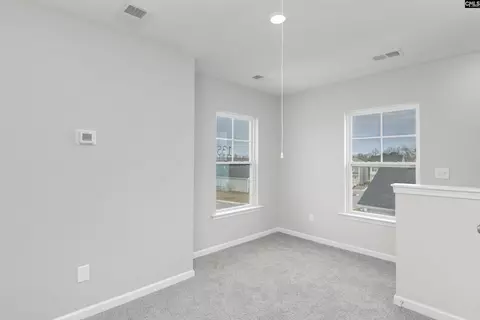 903 Blenheim Way, Gilbert, SC 29054 photo 20