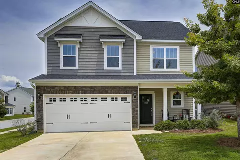 1103 Bergenfield Ln, Chapin, SC 29036