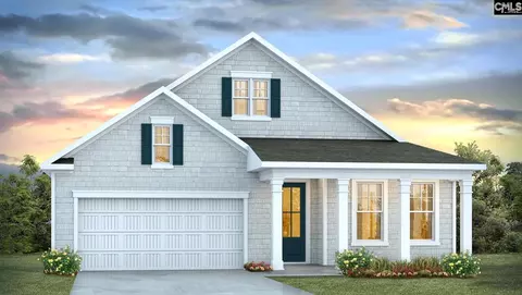 125 Sunny Stream Dr, Chapin, SC 29054