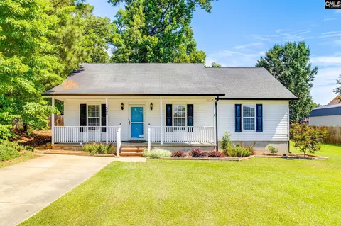 308 Cutter Ct, Chapin, SC 29036