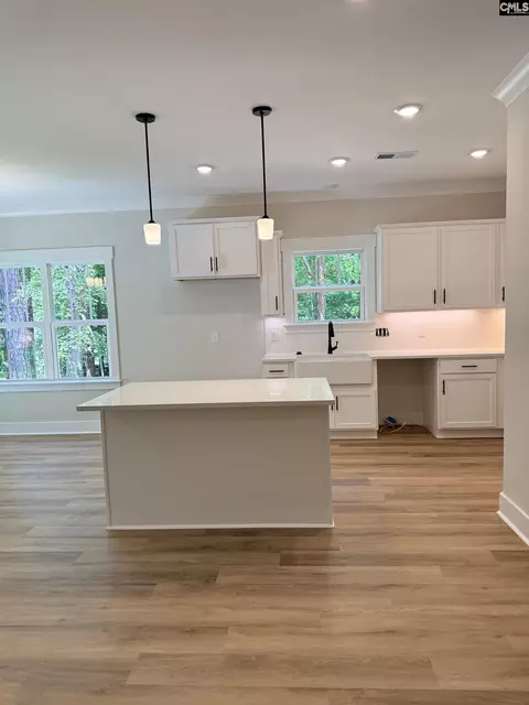 Kitchen - 3096 Cook Rd, Ridgeway, SC 29130 photo 3 of 3