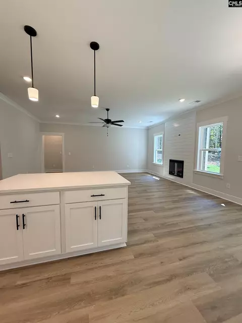 Other - 3096 Cook Rd, Ridgeway, SC 29130 photo 10 of 10