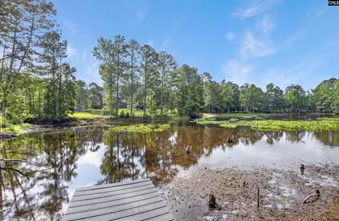 View/Area - 26 Sumner St, Elgin, SC 29045 photo 1 of 1
