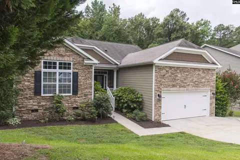 101 Woolbright Ave, Chapin, SC 29036