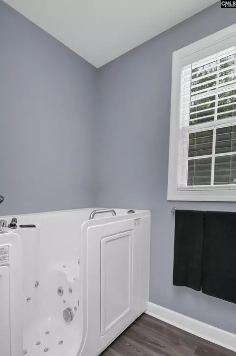 Bath - 46 Rambling Dr, Elgin, SC 29045 photo 3 of 5