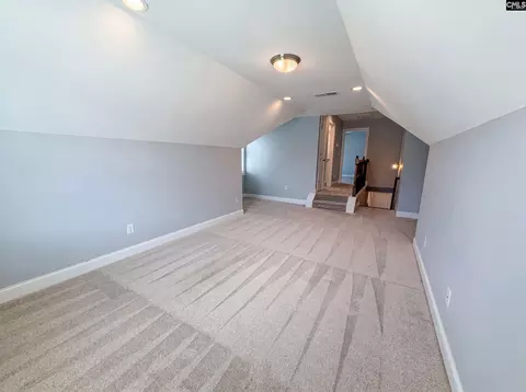 Other - 209 Lacecap Rd, Elgin, SC 29045 photo 6 of 7