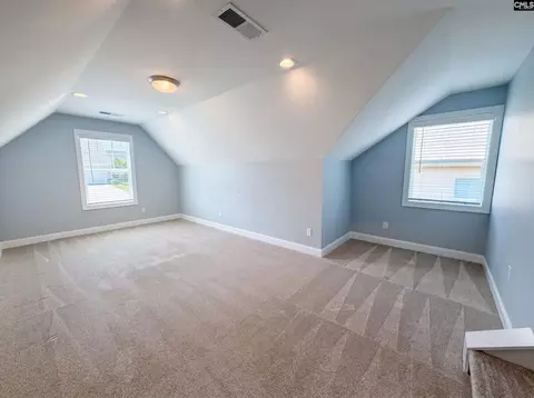 Other - 209 Lacecap Rd, Elgin, SC 29045 photo 7 of 7