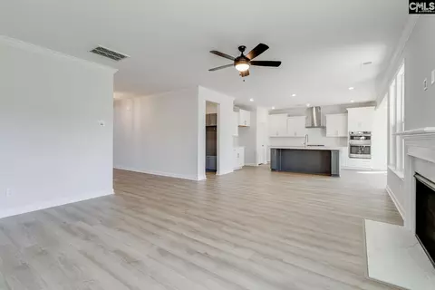 Living - 645 Falling Leaf Ln, Chapin, SC 29036 photo 2 of 4