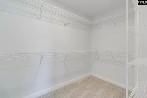 Other - 645 Falling Leaf Ln, Chapin, SC 29036 photo 5 of 6