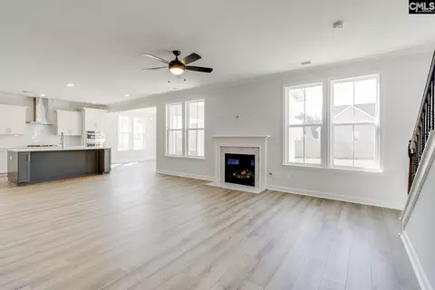 Living - 645 Falling Leaf Ln, Chapin, SC 29036 photo 1 of 4