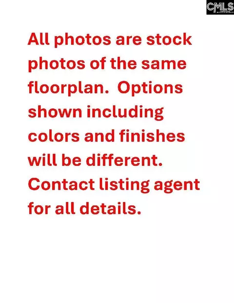 Other - 645 Falling Leaf Ln, Chapin, SC 29036 photo 1 of 6