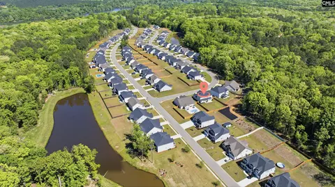 View/Area - 514 Wild Ginger Loop, Irmo, SC 29063 photo 10 of 10