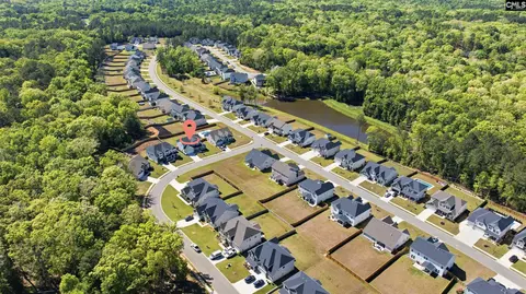 View/Area - 514 Wild Ginger Loop, Irmo, SC 29063 photo 8 of 10