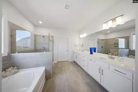 Bath - 514 Wild Ginger Loop, Irmo, SC 29063 photo 1 of 5