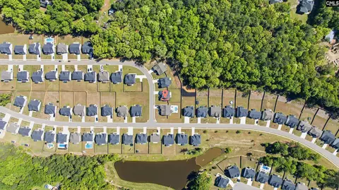 View/Area - 514 Wild Ginger Loop, Irmo, SC 29063 photo 6 of 10