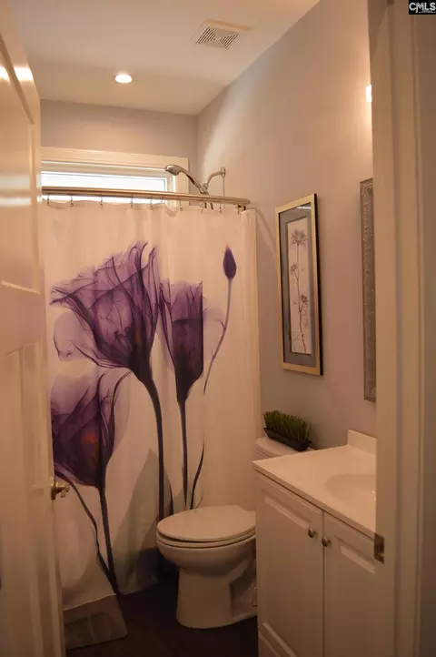 Bath - 1759 Lake Rd, Ridgeway, SC 29130 photo 6 of 6