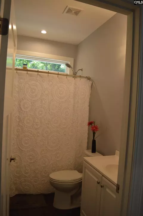 Bath - 1759 Lake Rd, Ridgeway, SC 29130 photo 5 of 6
