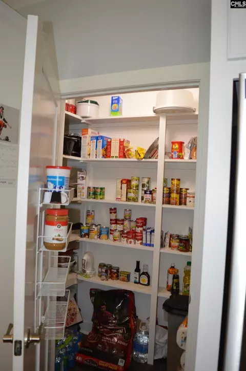 Other - 1759 Lake Rd, Ridgeway, SC 29130 photo 9 of 12