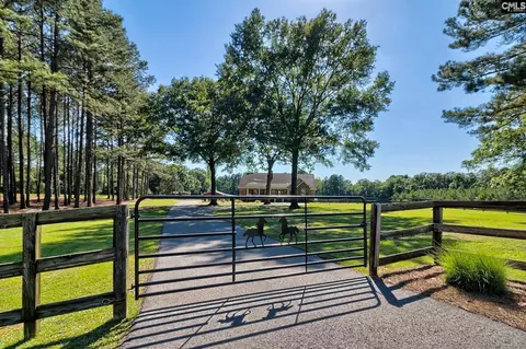 307 Old Bush River Rd, Chapin, SC 29036