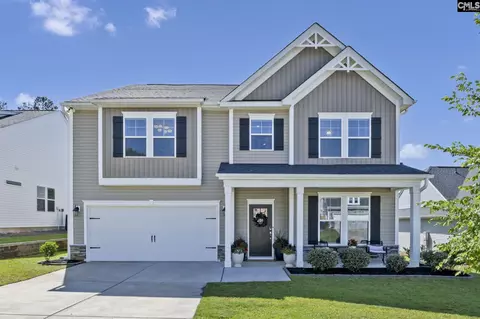 209 Chapin Place Way, Chapin, SC 29036