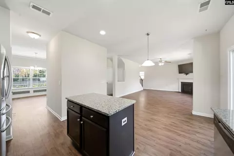 384 Explorer Dr, Chapin, SC 29036 photo 9