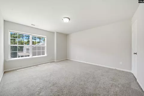 384 Explorer Dr, Chapin, SC 29036 photo 22