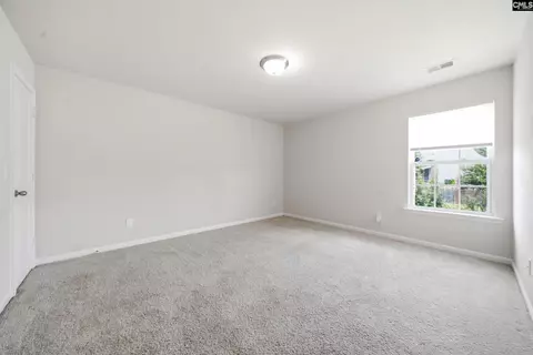 384 Explorer Dr, Chapin, SC 29036 photo 18