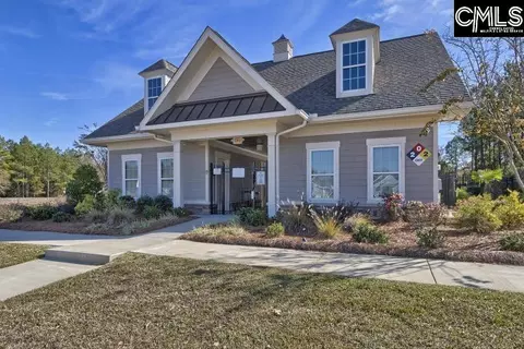 384 Explorer Dr, Chapin, SC 29036 photo 26