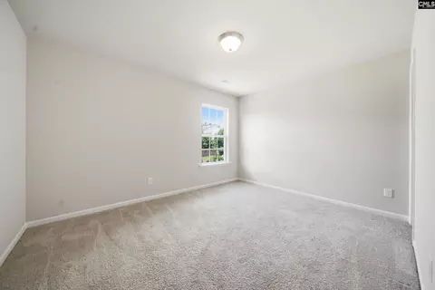 384 Explorer Dr, Chapin, SC 29036 photo 19