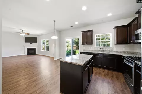 384 Explorer Dr, Chapin, SC 29036 photo 10