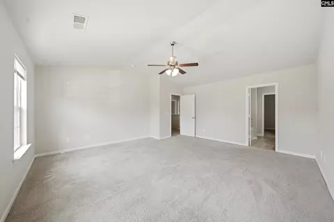 384 Explorer Dr, Chapin, SC 29036 photo 17