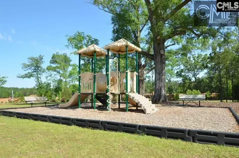 384 Explorer Dr, Chapin, SC 29036 photo 28