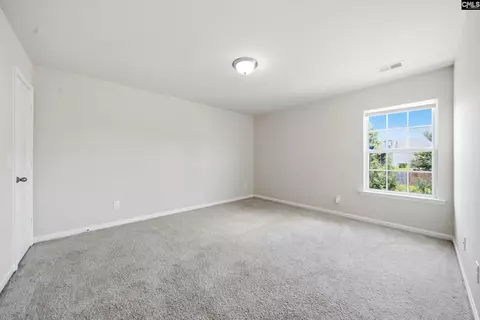 384 Explorer Dr, Chapin, SC 29036 photo 23