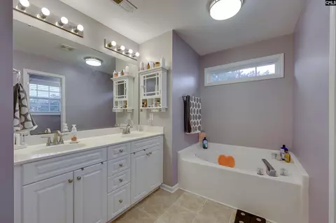 311 Starling View Ct, Lexington, SC 29073