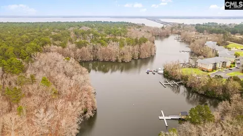 View/Area - 126 Cypress Hollow Way, Santee, SC 29142 photo 4 of 4