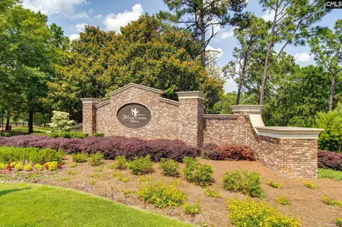 View/Area - 166 Backspin Dr, Elgin, SC 29045 photo 8 of 14