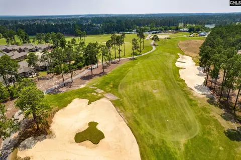 View/Area - 166 Backspin Dr, Elgin, SC 29045 photo 11 of 14