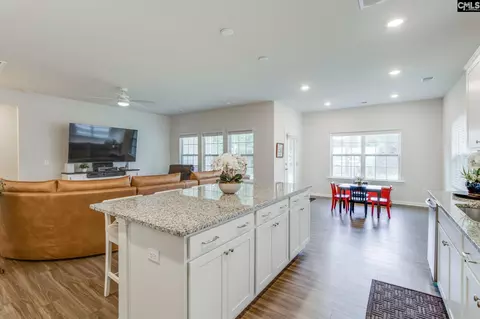 Other - 166 Backspin Dr, Elgin, SC 29045 photo 4 of 12