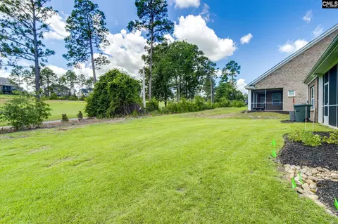 Exterior - 166 Backspin Dr, Elgin, SC 29045 photo 6 of 12