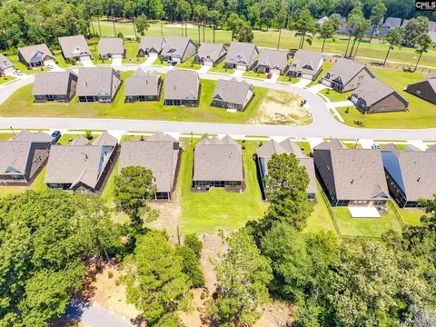 View/Area - 166 Backspin Dr, Elgin, SC 29045 photo 3 of 14
