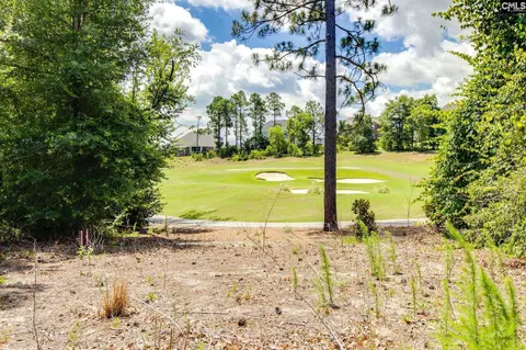 Exterior - 166 Backspin Dr, Elgin, SC 29045 photo 7 of 12
