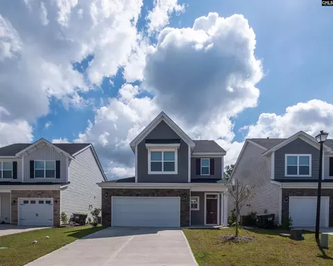 952 Bergenfield Ln, Chapin, SC 29036