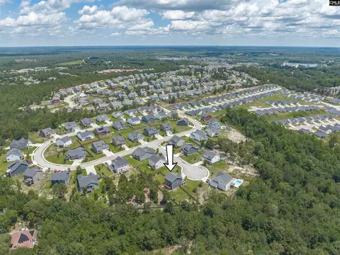 View/Area - 712 Bentgrass Ct, Elgin, SC 29045 photo 8 of 13
