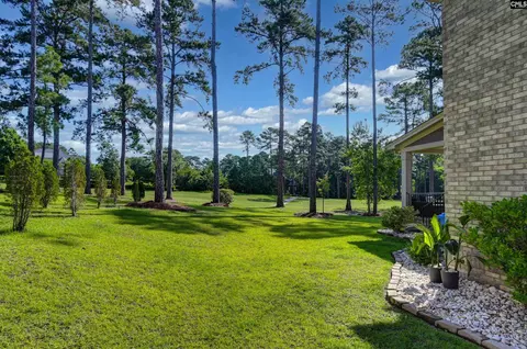 Exterior - 331 E Arrowleaf Ln, Elgin, SC 29045 photo 7 of 9