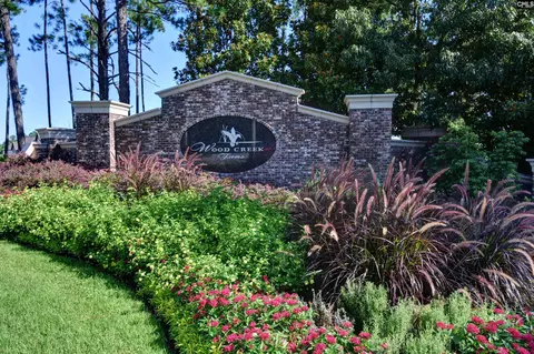331 E Arrowleaf Ln, Elgin, SC 29045 photo 79