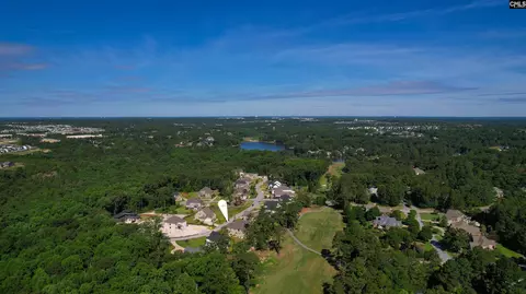 View/Area - 331 E Arrowleaf Ln, Elgin, SC 29045 photo 7 of 15